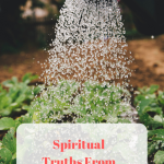 Spiritual Lessons From The Garden (1)