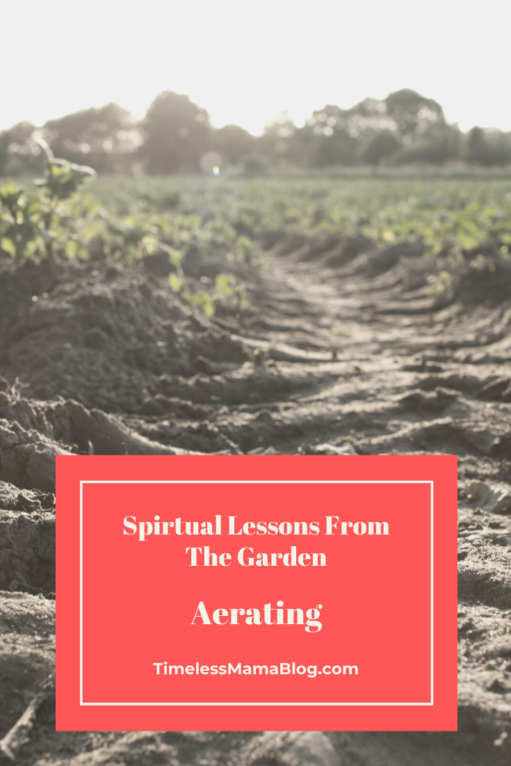 Aerating-Lessons From The Garden