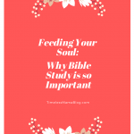 TheImportanceofBibleStudy
