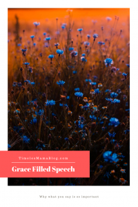 Grace Filled Speech