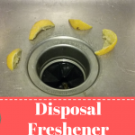 Disposal Freshener