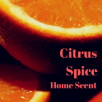 Citrus Spice Home Scent