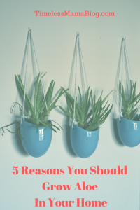 5 Reasons to Grow Your Own Aloe