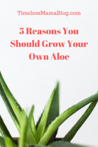 5 Reasons to Grow Your Own Aloe