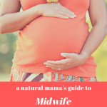 Natural Mama's Guide to Midwife Questions