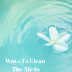 Natural Ways To Clean The Air In Your Home