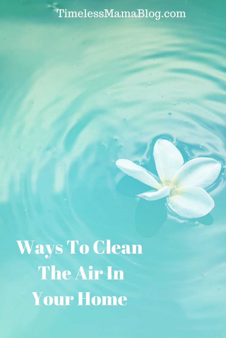 Natural Ways To Clean The Air In Your Home