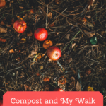 Compost-and-my-walk-with-Christ