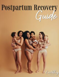 Postpartum Recovery Guide Ebook
