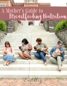 A Mother's Guide to Breastfeeding Nutrition ebook
